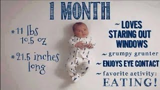 Baby Growth 1 to 12 Months  Facts Baby Growth amp Development Stages [upl. by Lemrahc201]