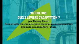 Viticulture  Quels leviers d’adaptation [upl. by Sedecrem]