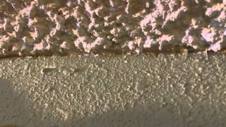 Textured Ceiling Painting Tip [upl. by Freida]