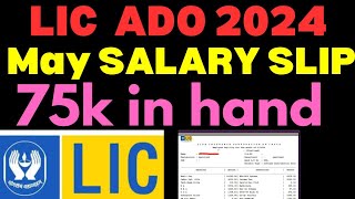 LIC ADO SALARY SLIP may 2024 latest salary slip after wage revision [upl. by Dore]