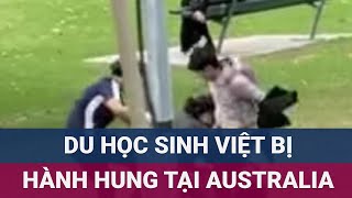 Một du học sinh Việt Nam bị hành hung tại Australia hiện đang trong tình trạng hoảng loạn  VTC Now [upl. by Sukramed]