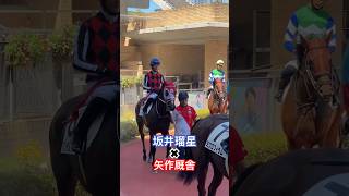 坂井瑠星 矢作芳人 矢作厩舎 中京競馬場 horse 競馬 バンデルアース [upl. by Honeywell]