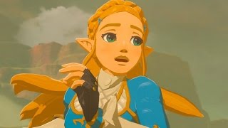 Small Details In Breath Of The Wild Only True Fans Noticed [upl. by Bo598]