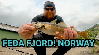 Shore fishing in southern Norway day one [upl. by Jer]