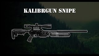 KalibrGun Snipe [upl. by Asum]