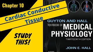 Guyton and Hall Medical Physiology Chapter 10 REVIEW Cardiac Conductive Tissue  Study This [upl. by Aikin515]