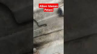 Alkon idaman petani [upl. by Heaps81]