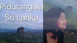 Pidurangala Sri lanka my favorite journey ❤️🇱🇰 pidurangala srilanka travel [upl. by Vinson976]