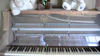 Insane Asylum Piano [upl. by Fernandez]