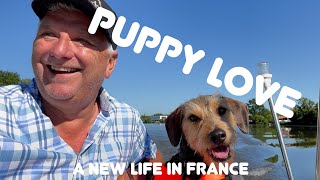 Moving to France Getting a rescue Puppy ‘Albert Hall’ and the Medieval town Casseneuil Ep 13 [upl. by Kidder713]