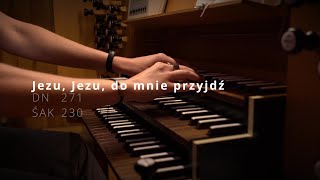 Jezu Jezu do mnie przyjdź DN 271 ŚAK 230  Katowice Brynów św Rodzina [upl. by Nannaihr]