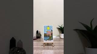 The Star  tarot card meaning [upl. by Ynove]