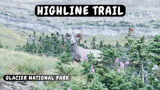 Highline Trail  Glacier National Park [upl. by Leind]