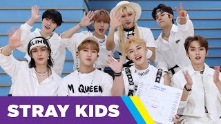 Stray Kids Ranks Their Songs [upl. by Nimesay]