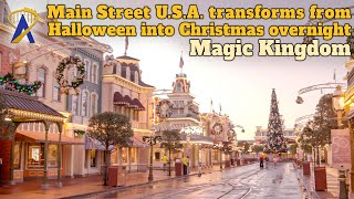 Magic Kingdom transforms from Halloween into Christmas overnight [upl. by Jerrie]