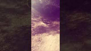 MTB ensayando el Trasmontaña shorts mtb bike אופניים [upl. by Leigha]