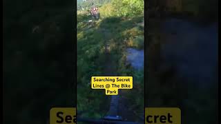 Mountain Biking  How to find secret lines at the bikepark mtb explore mtbmarkw [upl. by Patterman]