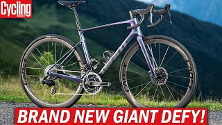 NEW 2024 Giant Defy  One Of The Last True Endurance Road Bikes [upl. by Shaddock]