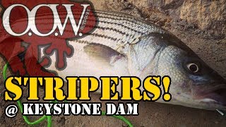 Striped Bass Fishing  Keystone Dam  OOW Outdoors [upl. by Cralg419]