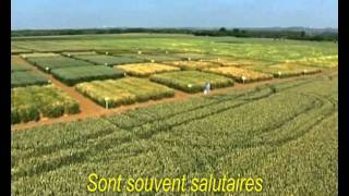 Tuez pas les paysans clip [upl. by Allenad]