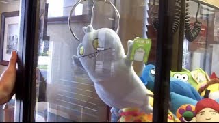 Two sickos clawing  Claw Machine Wins [upl. by Schultz130]