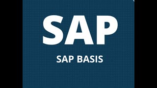 SAP BASIS  HANA DEMO Session [upl. by Uela407]