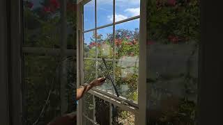 Lets clean some windows with imwindowwashingllc [upl. by Neehahs]