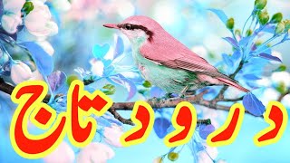 Daily Darood e Taj  beautiful voice Darood Taj  Darood Sharif  by Imtiaz Ahmad  Ep039 [upl. by Oika]