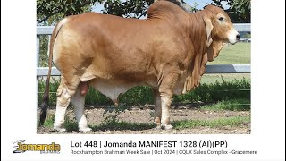 Lot 448  Jomanda MANIFEST 1328 AIPP [upl. by Ronn]