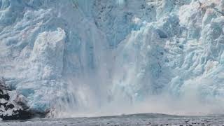 Glacier Calving in Alaska [upl. by Kelsy433]