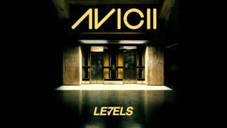 Avicii ft Flo Rida amp Skrillex  Good Feeling Levels 2012 EtroStyle Bootleg [upl. by Navac]