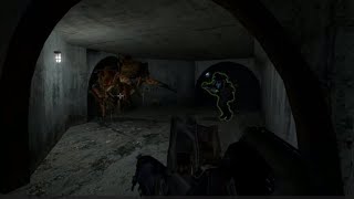 APF versus Antlions  Triage HL2RP  Garrys Mod [upl. by Anaihr805]