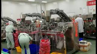 Spicy powder seasoning powderhigh speed packing machine [upl. by Marijane]