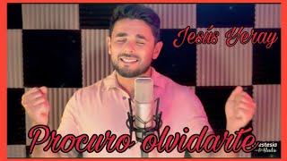 PROCURO OLVIDARTE  Miguel Campello  Jesus Yerai Cover [upl. by Otti59]