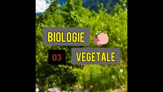 Biologie végétale partie 03 L1 [upl. by Reklaw]