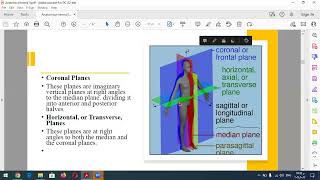 Lect 1 Anatomical Terms [upl. by Nesline444]