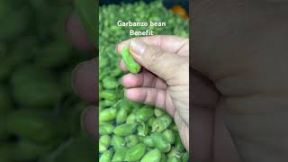 Garbanzo bean ￼facts trending viral shortvideo ytshorts best dance facts GoldenRemedy [upl. by Anilorak638]