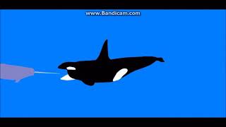 Killer whale vs narwhal scen of basilosaurus vs killerwhale vs leviathan vs narwhal [upl. by Anitnatsnok653]