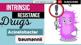 Intrinsic resistant Antibiotics  Acinetobacter baumannii  A baumannii Treatment [upl. by Rehpotisrhc185]