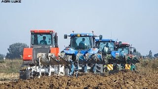 New Holland  Scaip Warrior  McCormick  Landini  Aratura allIIS Calvi  Plowing [upl. by Ecyned]