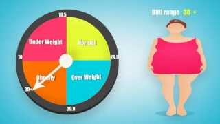 BMI Calculator For Women And Men amp What is BMI [upl. by Ades511]