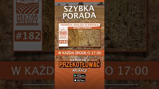 PIERWSZA ANALIZA ŚCIERNISKA  HEKTAR WIEDZY  SZYBKA PORADA 182 [upl. by Pomfret]