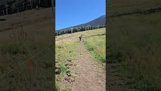 From Snowbowl To Summit Humphreys Peak In Flagstaff Arizona arizona [upl. by Skinner943]