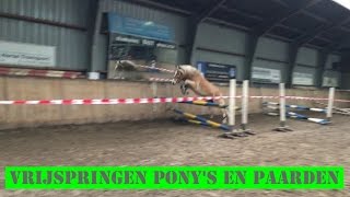 Vrijspringen voor ponys en paarden  Paardenmeisjesblog [upl. by Atirehs]