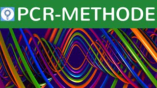 PCRMethode  Vervielfältigung von DNA  PolymeraseKettenreaktion einfach erklärt  DNAAnalyse 3 [upl. by Marigolde]