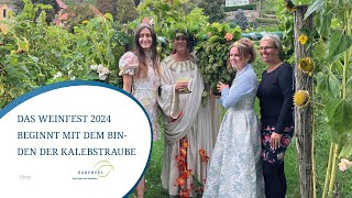 Das Weinfest 2024 beginnt mit dem Binden der Kalebstraube [upl. by Secunda]