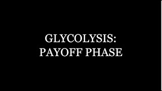 Glycolysis Payoff Phase [upl. by Silado168]