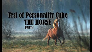 Test of Personality Cube  THE HORSE PART 4  Brainee [upl. by Nisotawulo728]