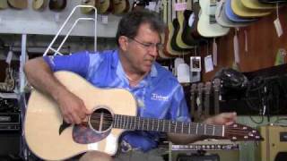 Breedlove American Series D25SRe [upl. by Tomlin526]