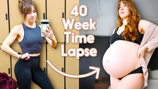 Adorable Pregnancy Time Lapse  Incredible Week by Week Transformation third pregnancy [upl. by Fionnula]